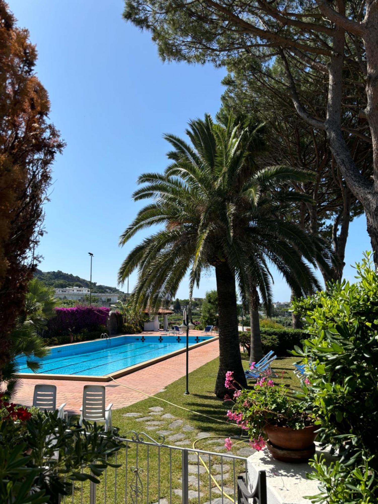 Villa Moma Giardino, Tennis E Piscina Panoramica Ischia Exterior foto