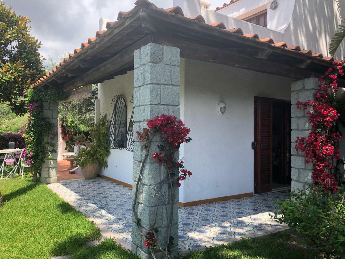 Villa Moma Giardino, Tennis E Piscina Panoramica Ischia Exterior foto