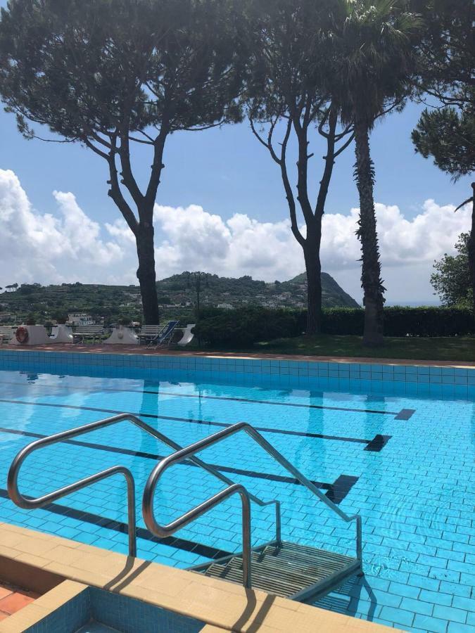 Villa Moma Giardino, Tennis E Piscina Panoramica Ischia Exterior foto